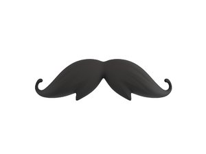 mustache hair 3D model