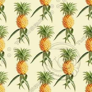 Vintage Pineapple