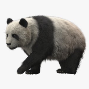 panda rigged 3D model