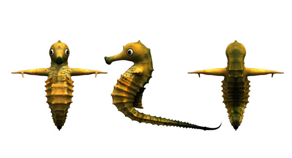 3D sea horse cartoon