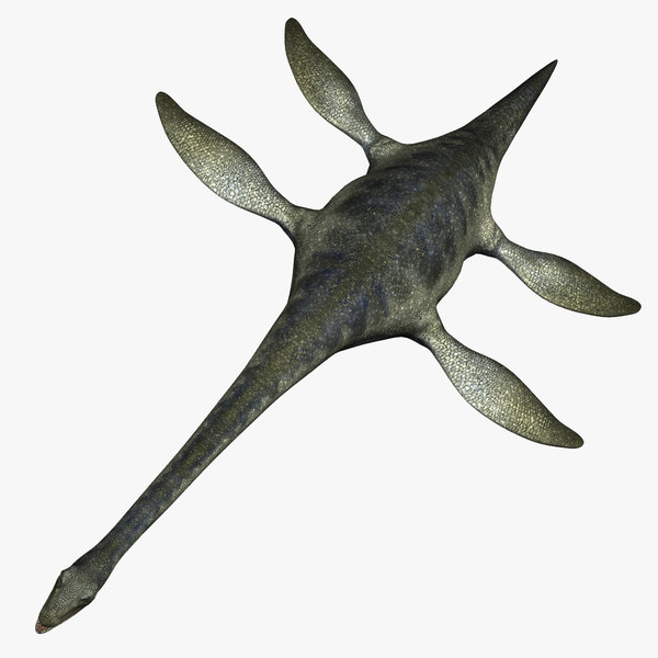 3d model marine elasmosaurus elasmosaur