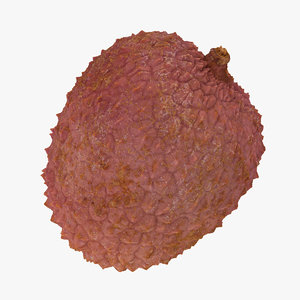 3D lychee 05 raw scan