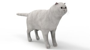cat rigged 3D model