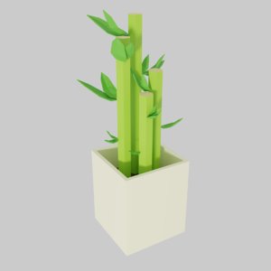 cartoon lucky bamboo plant model