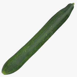 3D persian sfran cucumber 02 model