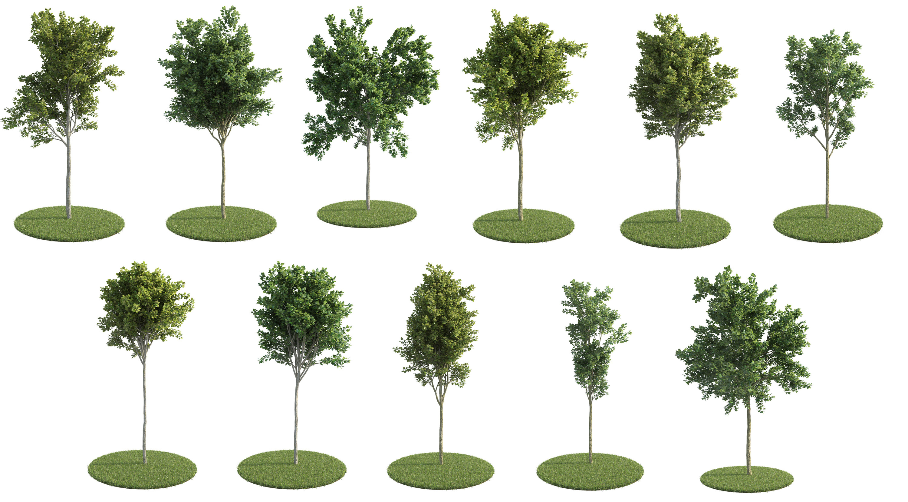 trees pack 3d obj