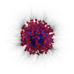 3D coronavirus covid-19 model