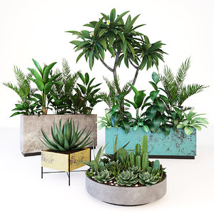 tree pot plants 3D