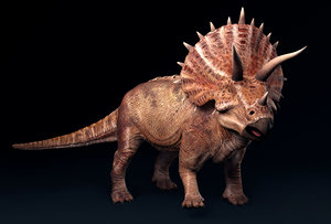 3D triceratops