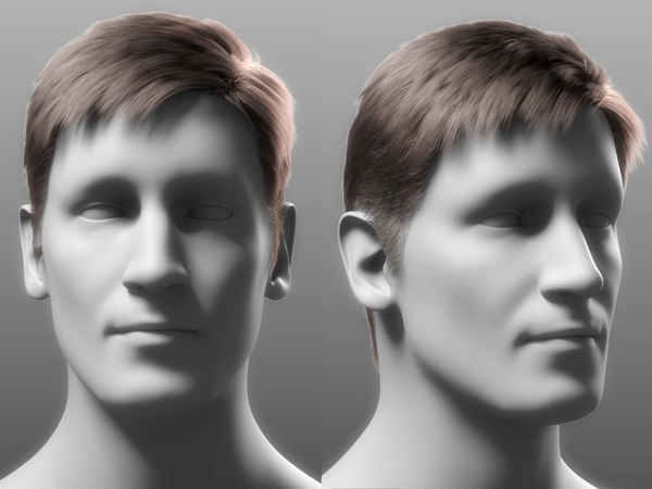 3D realistic male hair asset model