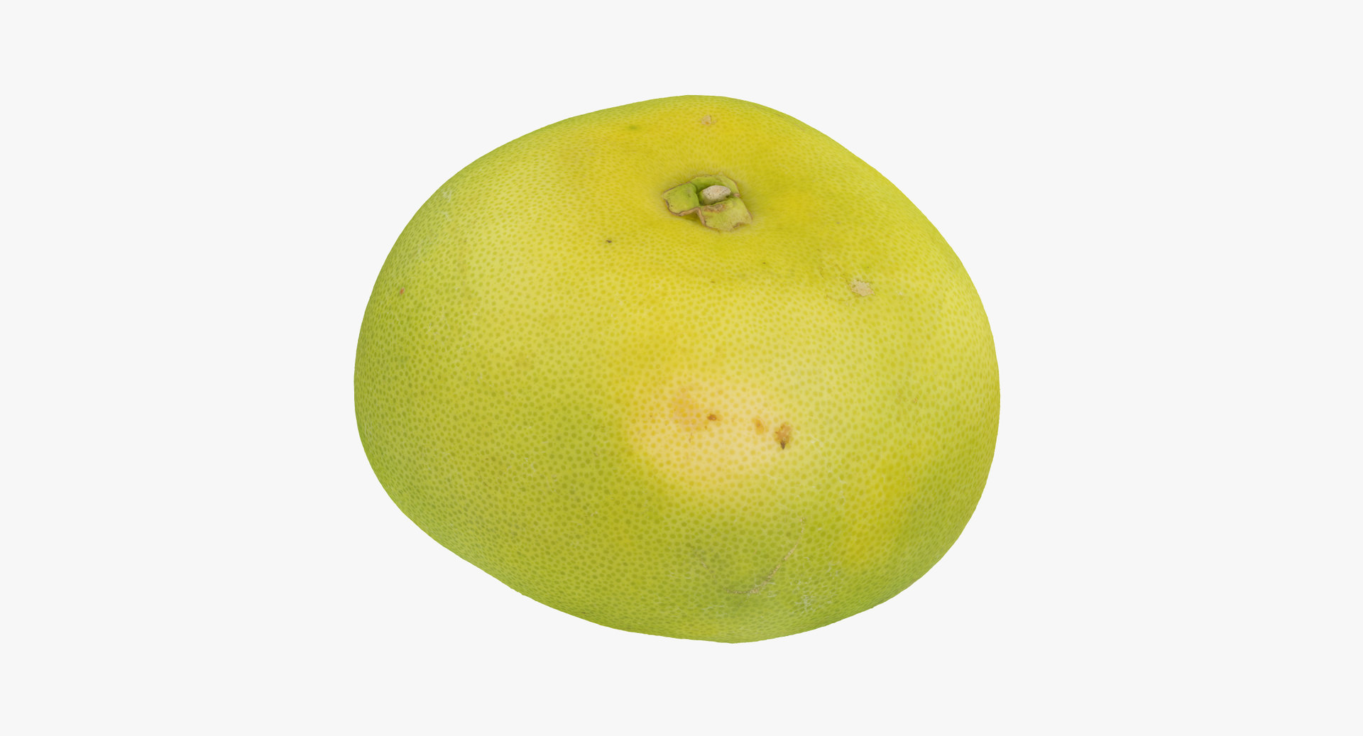 Melogold 01 raw scan model TurboSquid 1539499