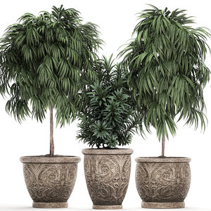 3D ornamental trees classic flowerpots
