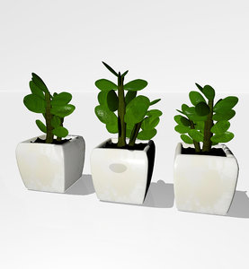 plant vase decor 3D model