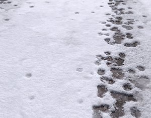 Snow terrain PBR pack 8
