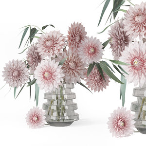 eucalyptus tree dry decorative 3D model