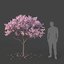 3D tree sakura