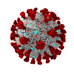 3D coronavirus rig
