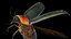 firefly bug 3D