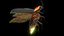 3D insect bug fly