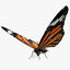 butterfly bug fly 3D model