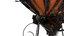 butterfly bug fly 3D model