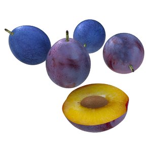 fruits 3D