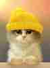 member avatar