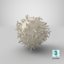 white blood cell 3D model