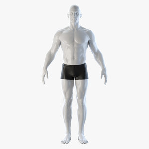 Free Human Body 3D Models For Download | TurboSquid