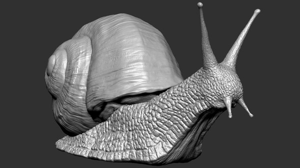 how to model a snail shell zbrush