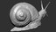 snail zbrush hi 3ds