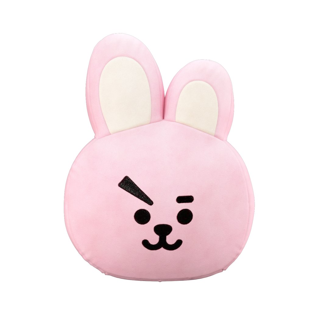 bt21 pillow cooky