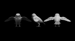 owl bird cartoon 3D