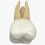 upper human teeths dentition 3D model