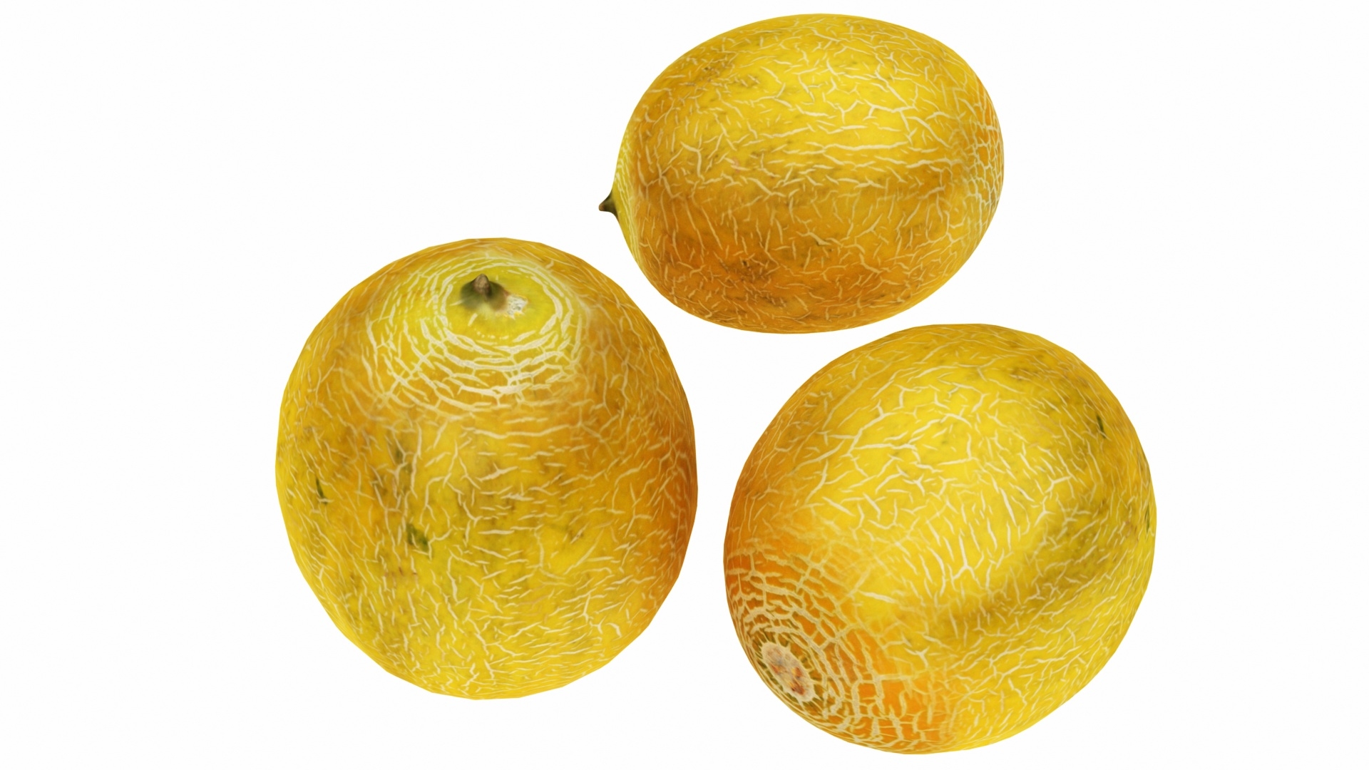 melon3d模型