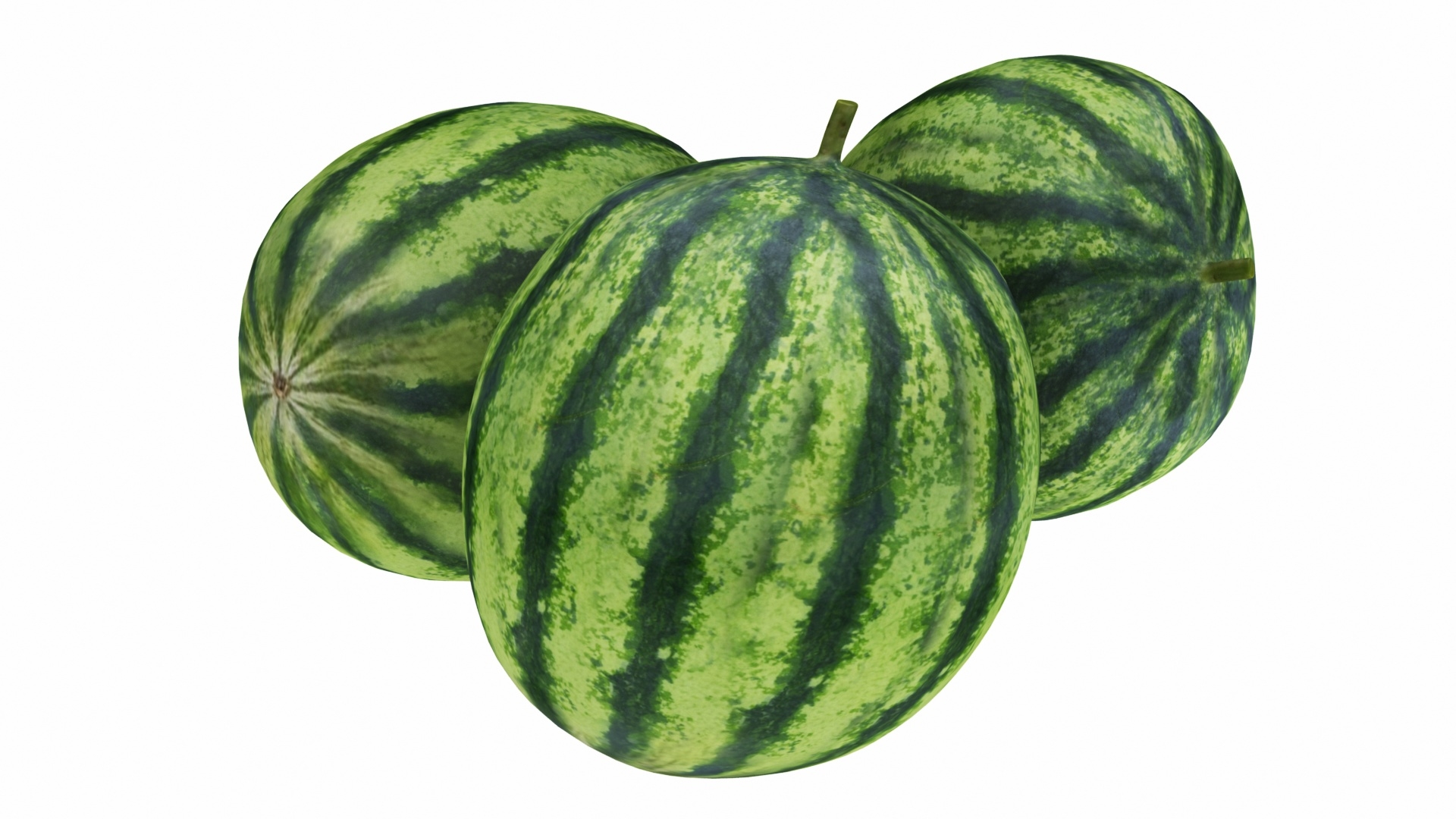 watermelon3d模型