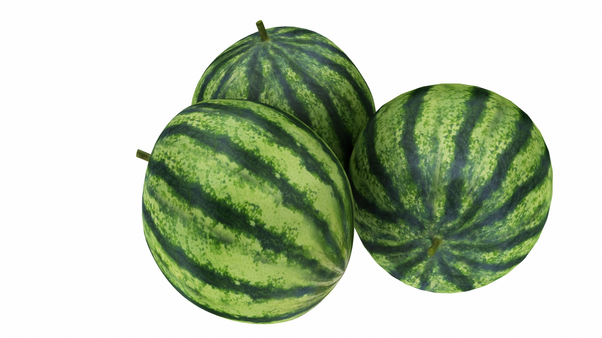 watermelon3d模型