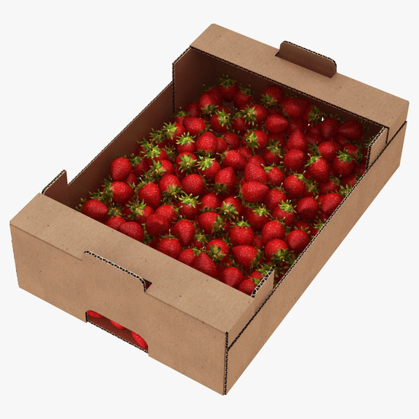 3D model fruit cardboard box withs