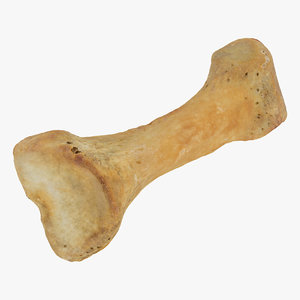 proximal phalanx bone index 3D