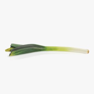 3D leek vegetable