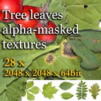 Tree leaves alpha-masked textures collection