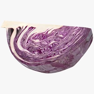 realistic red cabbage slice model