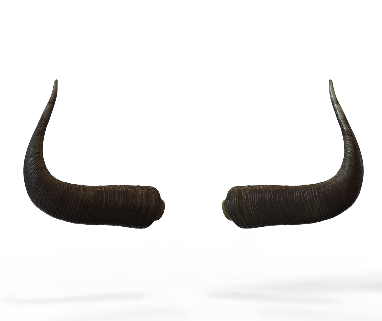 3D horns bull - TurboSquid 1544007