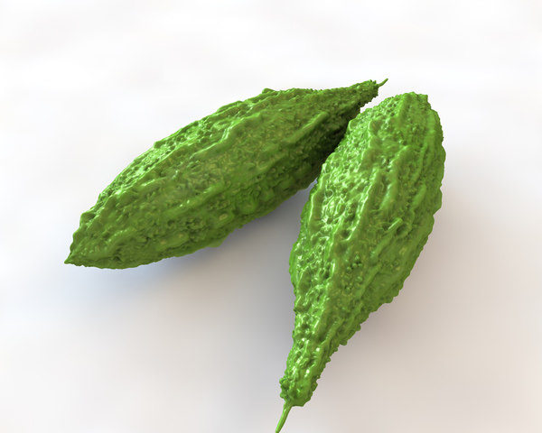 3d bitter gourd model
