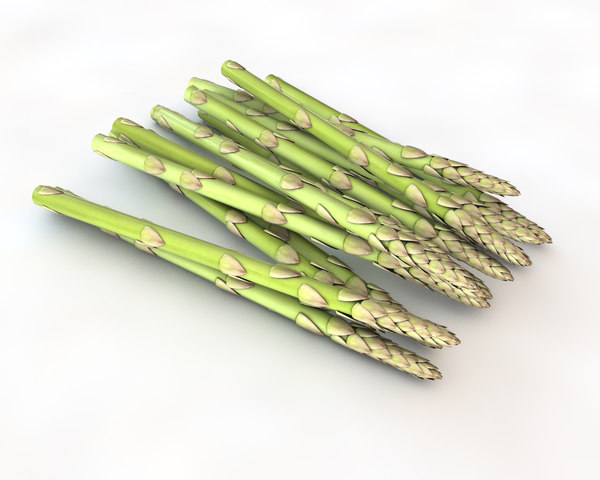 3D asparagus