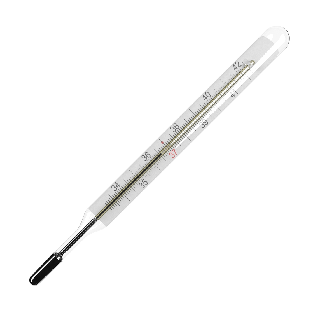 Medical mercury thermometer model TurboSquid 1266088