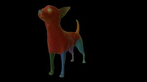 chihuahua basemesh 3D model