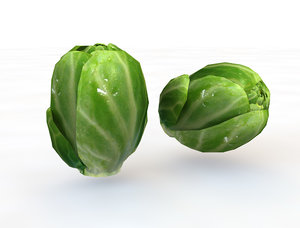 brussels sprout 3D model