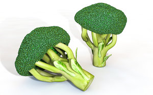 3D broccoli