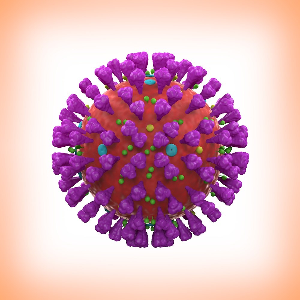 Covid19 coronavirus 3D model TurboSquid 1544410